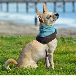 Sierra Dog Supply EX Extreme BackPack 